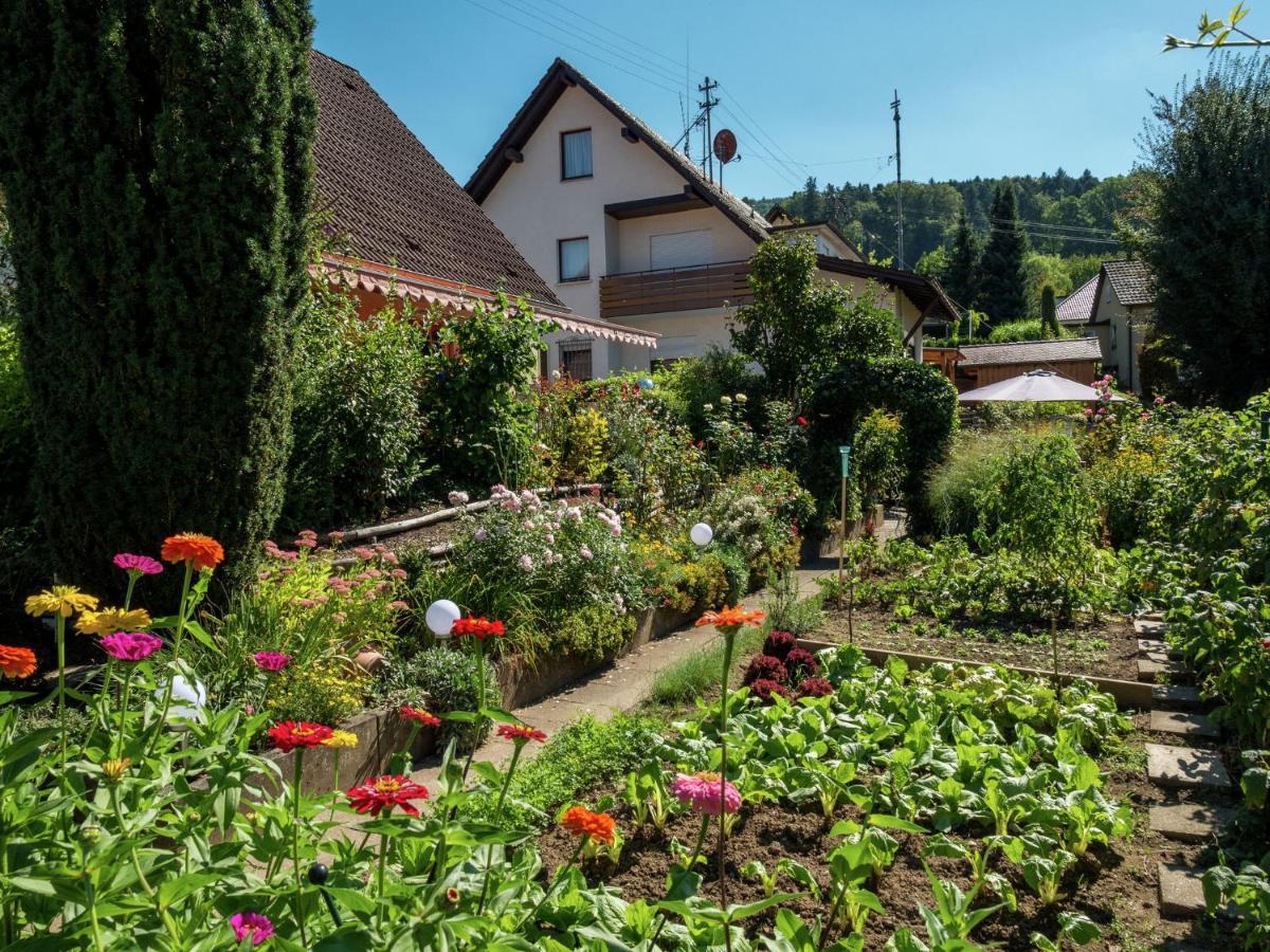 Cheerful Apartment Near City Centre Of Haslach ハスラッハ・イム・キンツィクタール エクステリア 写真