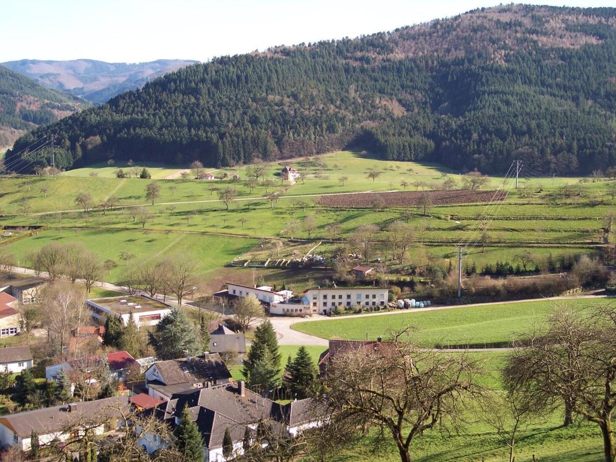 Cheerful Apartment Near City Centre Of Haslach ハスラッハ・イム・キンツィクタール エクステリア 写真